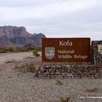 Kofa National Wildlife Refuge